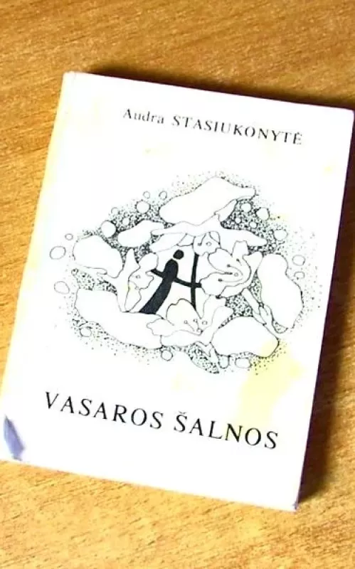 Vasaros šalnos - Audra Stasiukonytė, knyga