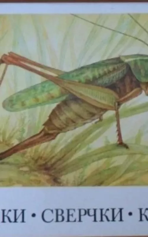 Žiogai. Svirpliai. Tarkšliai - L.V. Aristov, knyga 2