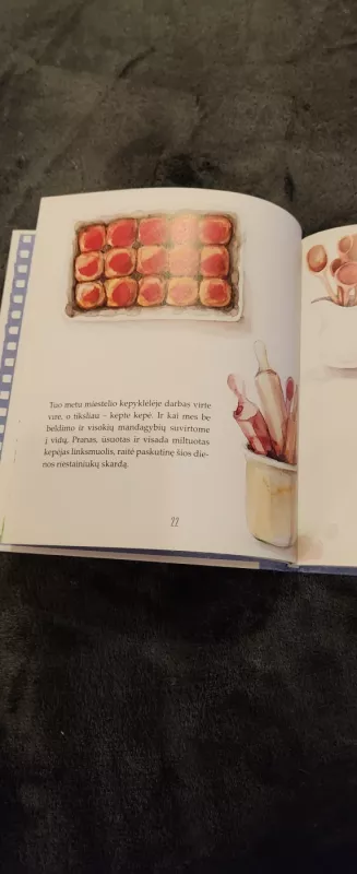 Namelio medyje istorijos. Kamino nepraeinamumas - Neringa Čereškevičienė, knyga 3