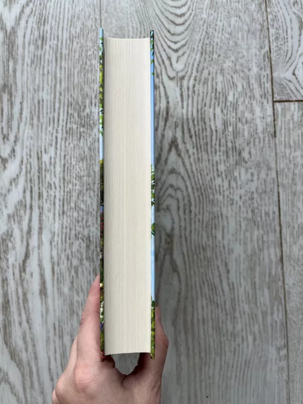 Vasara prie ežero - Erica James, knyga 4