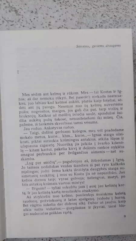 Mes dar susitiksim, Vilma! Kauno romanas - Alfonsas Bieliauskas, knyga 3