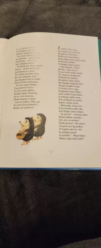 Ežiukai devyžiukai - Martynas Vainilaitis, knyga 3