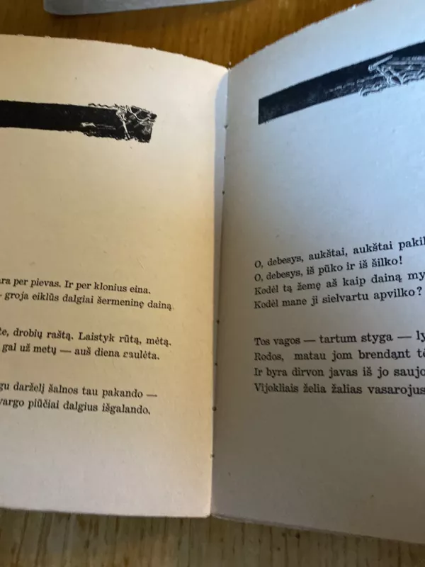 Kibirkštys naktį - Juozas Kruminas, knyga 5