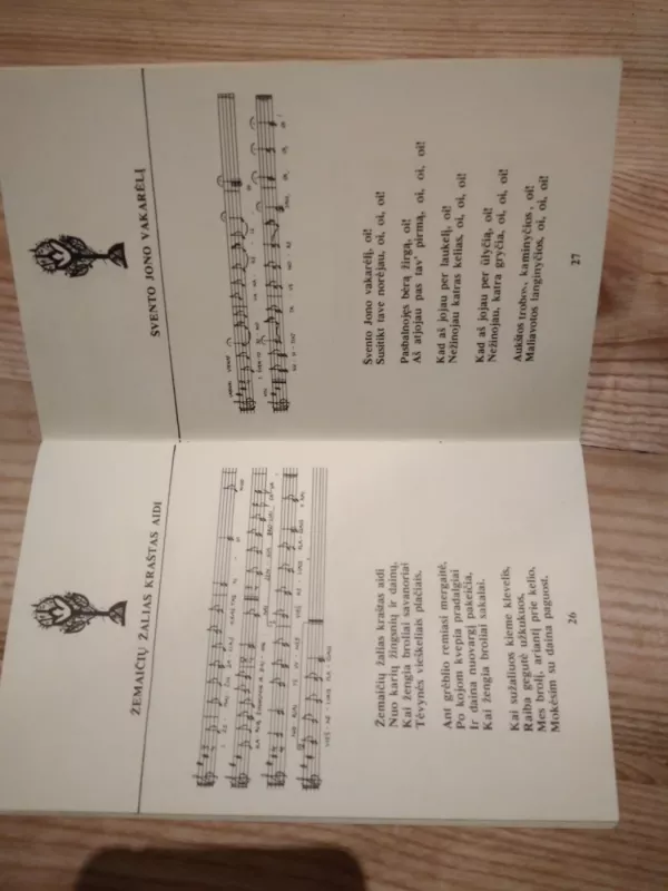 Rasos šventė - Autorių Kolektyvas, knyga 3