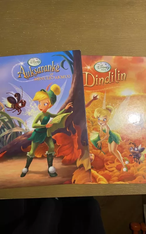 Auksarankė ir mėnulio akmuo - Autorių Kolektyvas, knyga 2