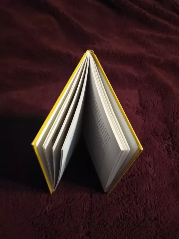 Troliai Mumiai. Mažieji troliai ir didysis potvynis - Tove Jansson, knyga 3