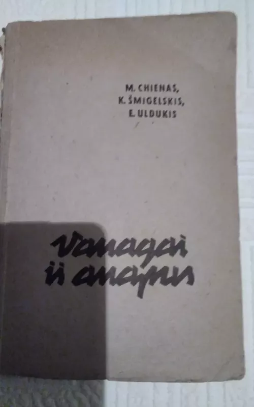 Vanagai iš anapus - M. Chienas, knyga