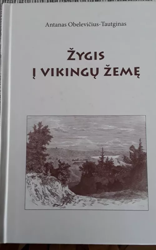 Žygis į vikingų žemę - Autorių Kolektyvas, knyga