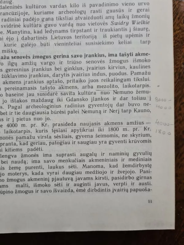 Lietuvos istorija - Vanda Daugirdaitė-Sruogienė, knyga 5