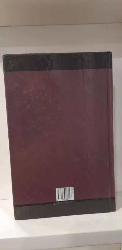 Idiotas - Fiodoras Dostojevskis, knyga 3