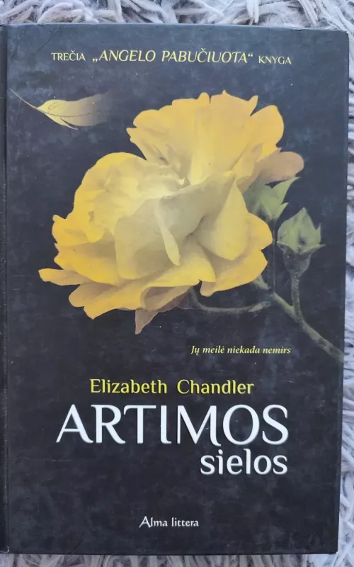 Angelo Pabučiuota: Artimos Sielos (3 knyga) - Chandler Elizabeth, knyga