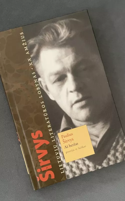 Aš beržas - Paulius Širvys, knyga 2