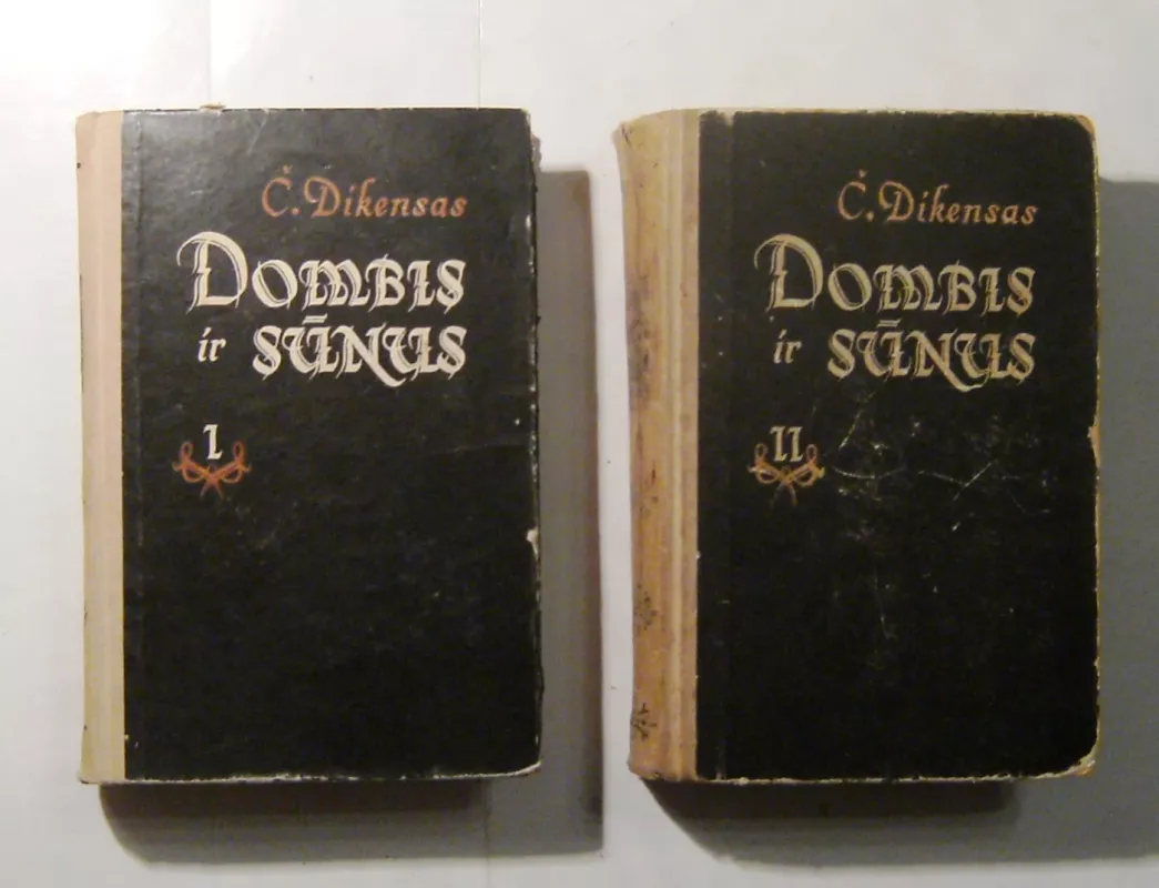 Dombis ir sūnus (II tomai) - Charles Dickens, knyga 3