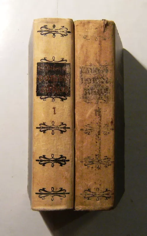 Dombis ir sūnus (II tomai) - Charles Dickens, knyga 6