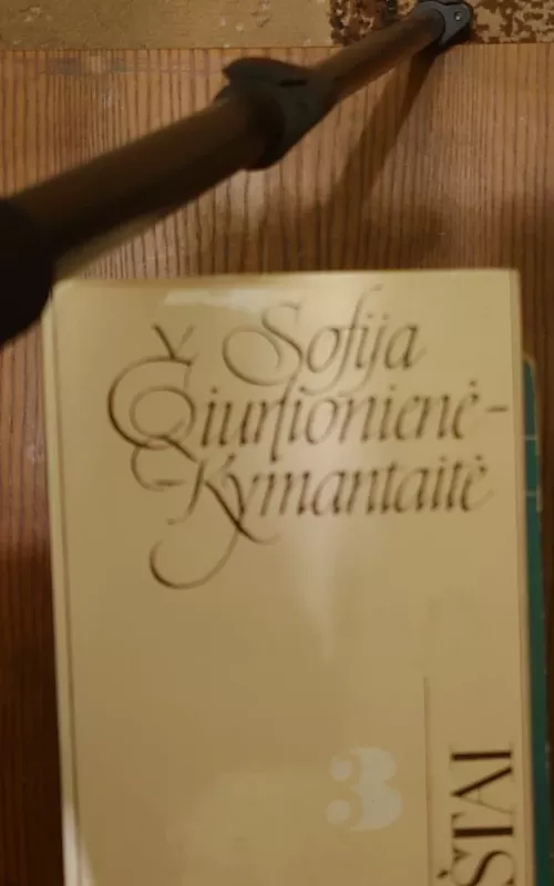 RAŠTAI 1, 2, 3tomai - Autorių Kolektyvas, knyga 4