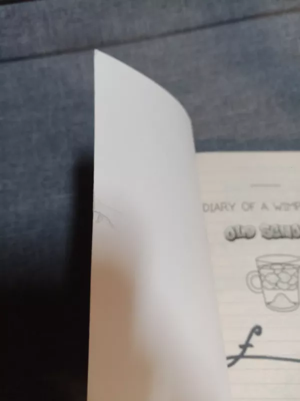 Diary of a Wimpy Kid 10. Old School - Jeff Kinney, knyga 4