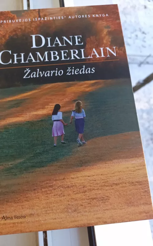 Žalvario žiedas: romanas - Diane Chamberlain, knyga 2