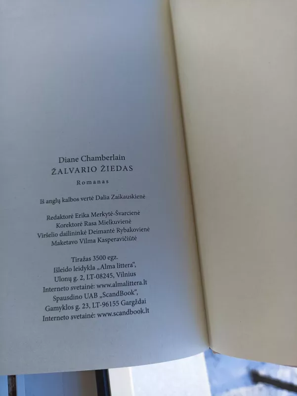 Žalvario žiedas: romanas - Diane Chamberlain, knyga 6