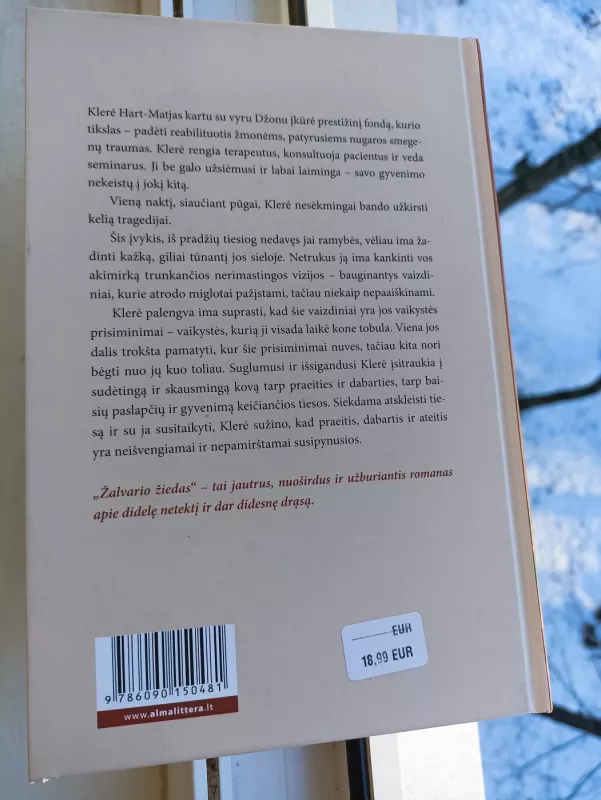 Žalvario žiedas: romanas - Diane Chamberlain, knyga 4