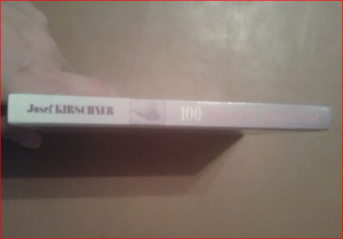 100 žingsnių laimės link. Kaip jūs pats pakeisite savo gyvenimą - Josef Kirschner, knyga 3