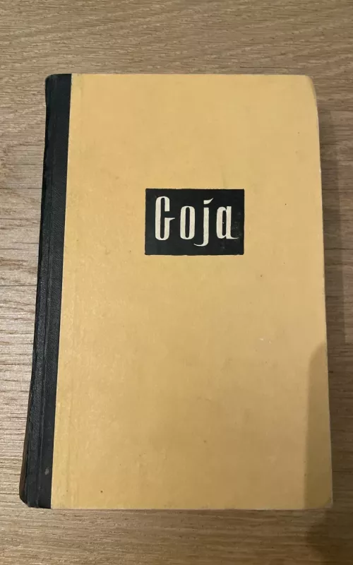 Goja - L. Foichtvangeris, knyga