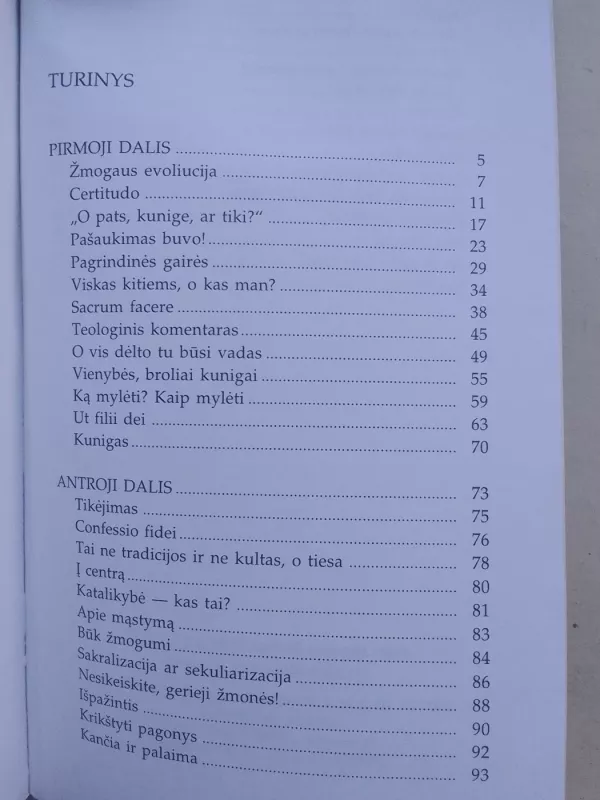 Rekolekcijos - Bronius Bulika, knyga 3