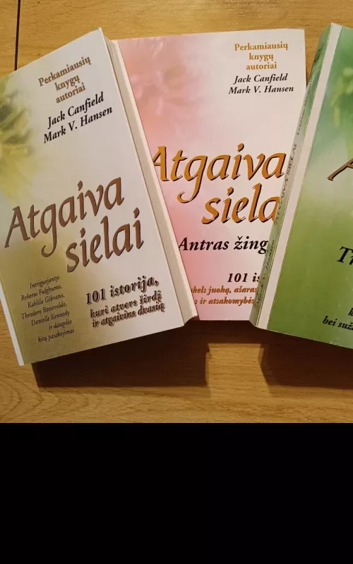 Atgaiva sielai, 1-3 knygos - Jack Canfield, Mark Viktor  Hansen, knyga 2