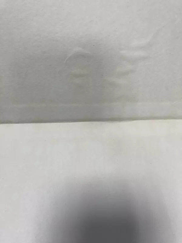 Hobitas - J. R. R. Tolkien, knyga 5