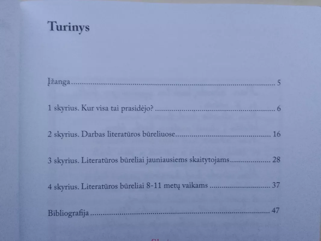 Literatūros būreliai: idėjos gimsta kalbantis - C. King, J.  Briggs, knyga 4