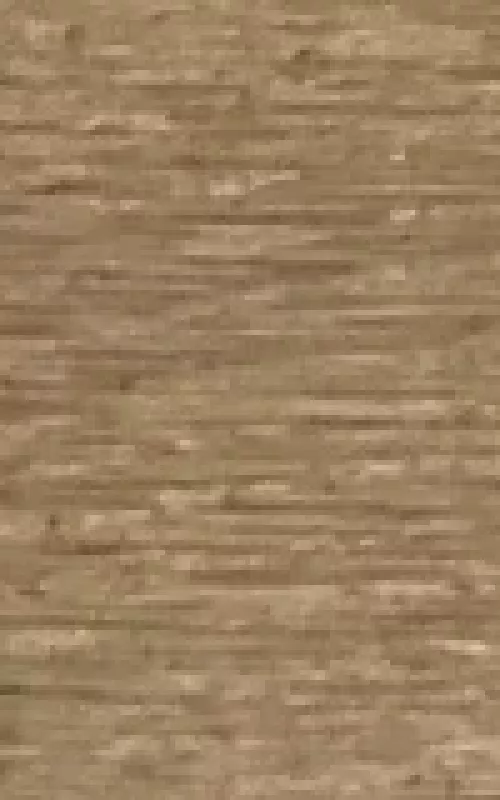 Naujas požiūris į Lietuvos istoriją - A. Eidintas, knyga