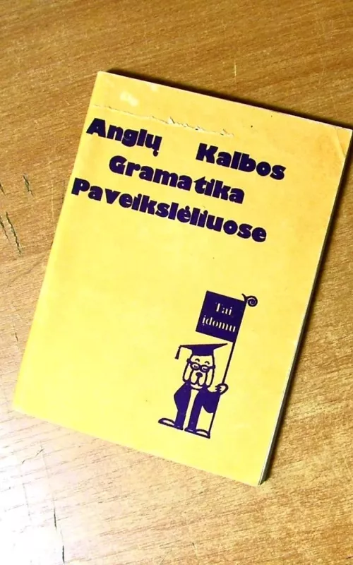 Anglų kalbos gramatika paveikslėliuose - Autorių Kolektyvas, knyga