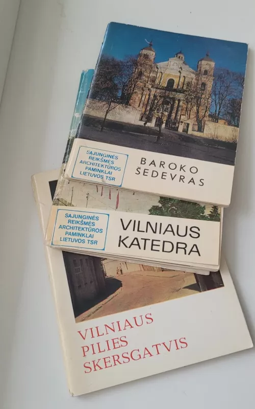 Vilniaus pilies skersgatvis - Vytautas Levandauskas, knyga