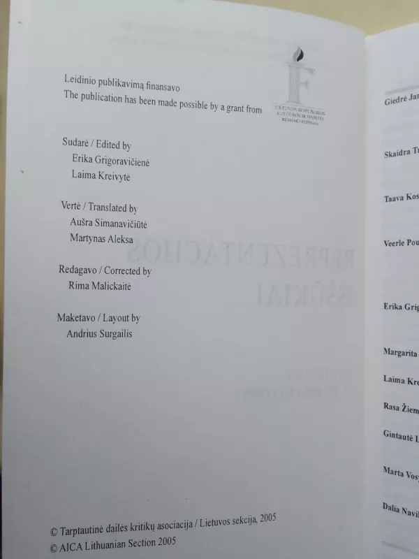 Reprezentacijos iššūkiai - Autorių Kolektyvas, knyga 4