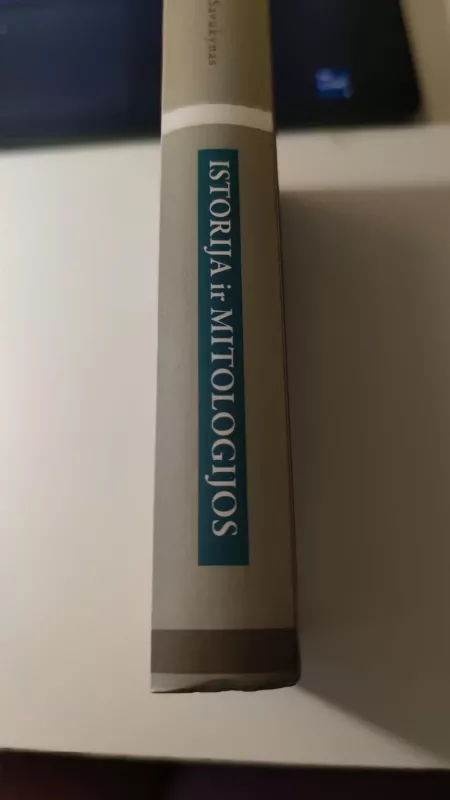 Istorija ir mitologijos: tapatybės raiškos XVII - XIX amžiaus Lietuvoje - Virginijus Savukynas, knyga 4