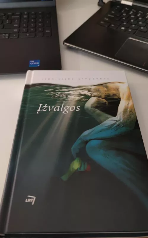 Įžvalgos - Virginijus Savukynas, knyga 2