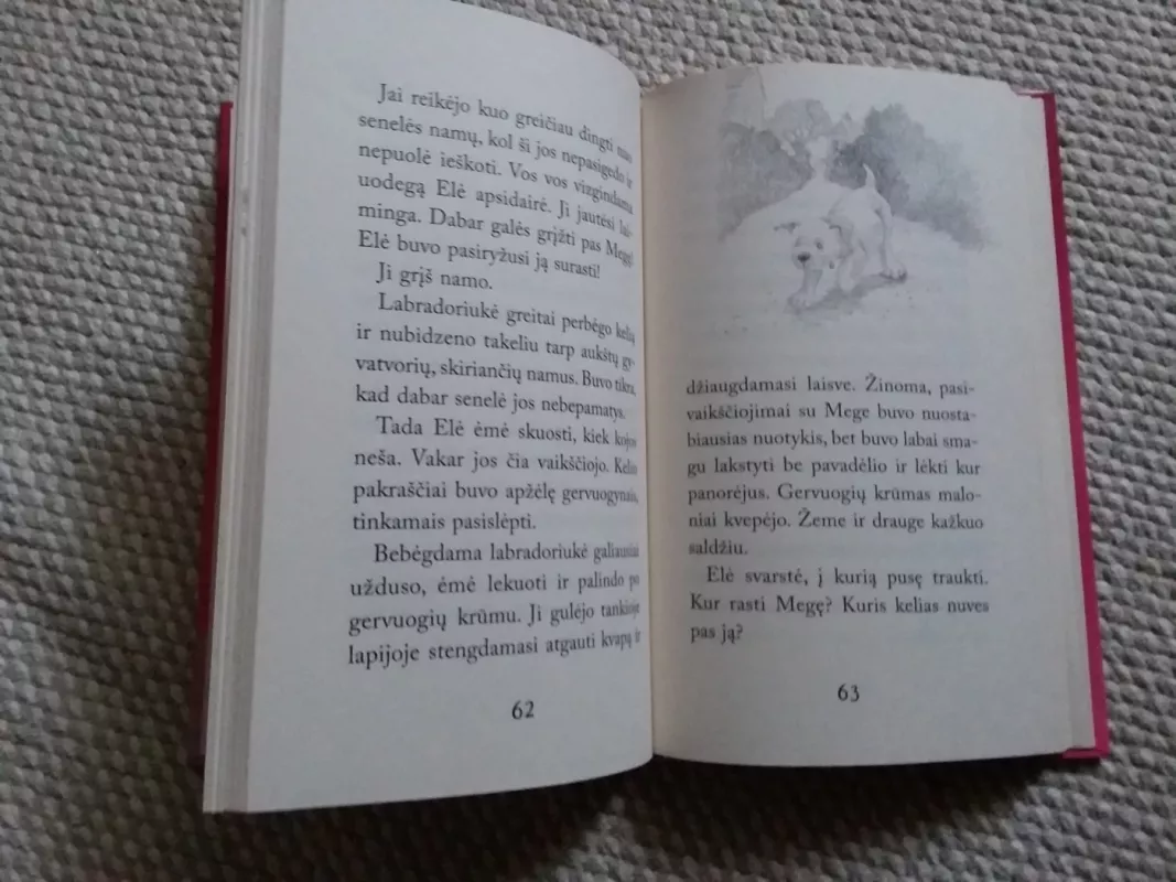 Elė ilgisi namų - Holly Webb, knyga 3