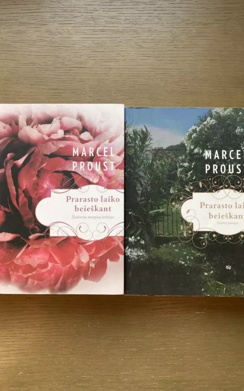 Prarasto laiko beieškant. Svano pusėje - Marcel Proust, knyga