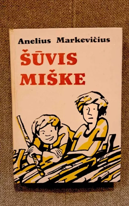 Šūvis miške - Anelius Markevičius, knyga