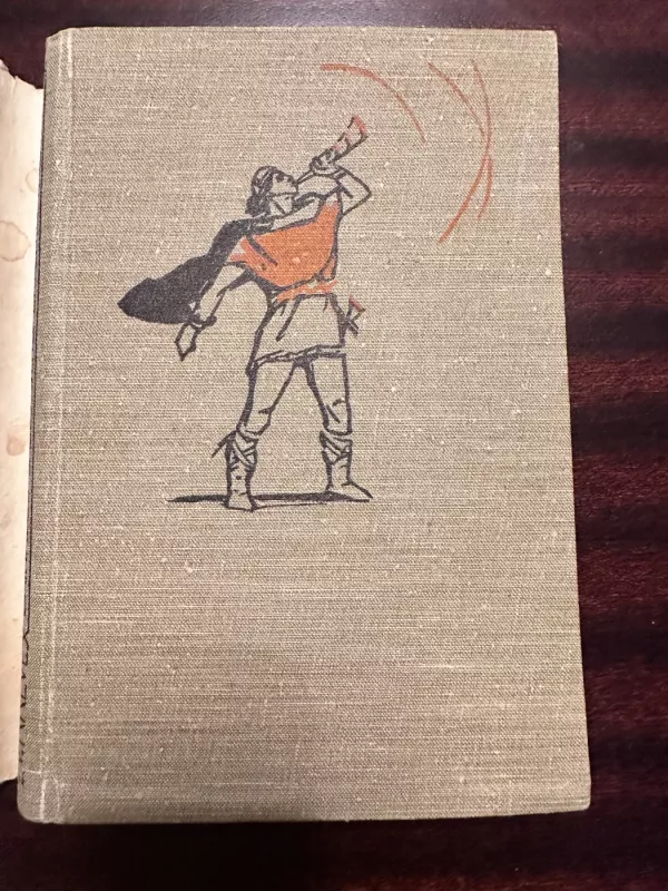 Svetimas veidas - Kobas Abė, knyga 5