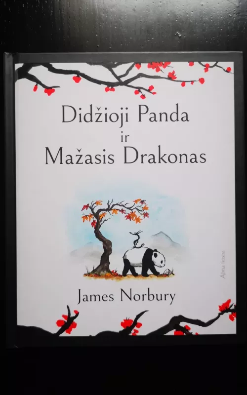 Didžioji Panda ir Mažasis Drakonas - James Norbury, knyga 2