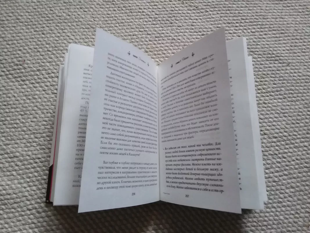 Мечты. План. Новая жизнь - Гретхен Рубин, knyga 3