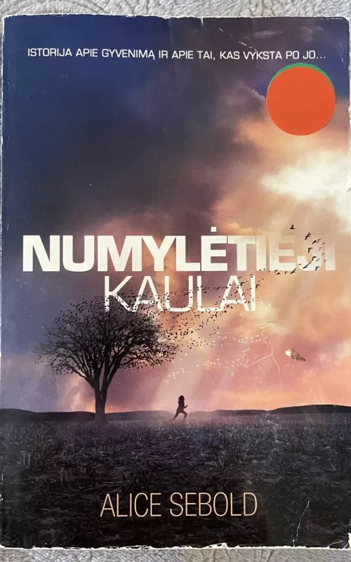 Numylėtieji kaulai - Alice Sebold, knyga 2