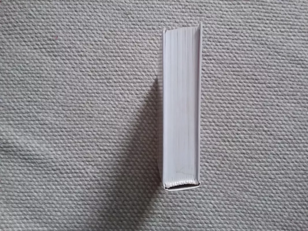 Мечты. План. Новая жизнь - Гретхен Рубин, knyga 4