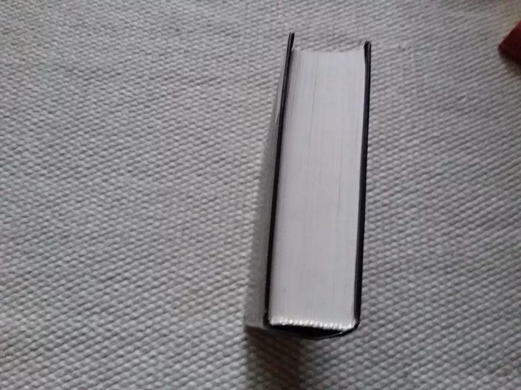 Загадка Рафаэля. Комитет Тициана. Бюст Бернини. Последний суд - Йен Пирс, knyga 4