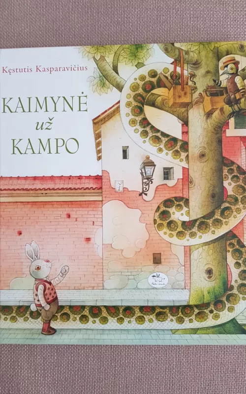 Kaimynė už kampo - Kęstutis Kasparavičius, knyga