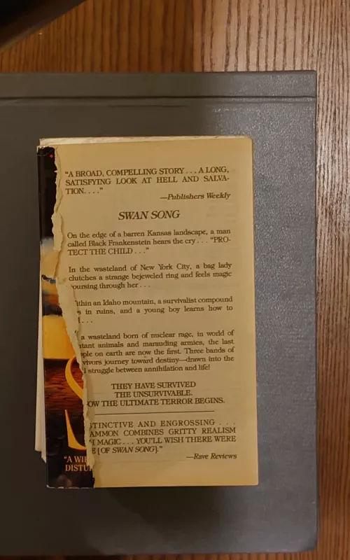 Swan song - Robert McCammon, knyga 2