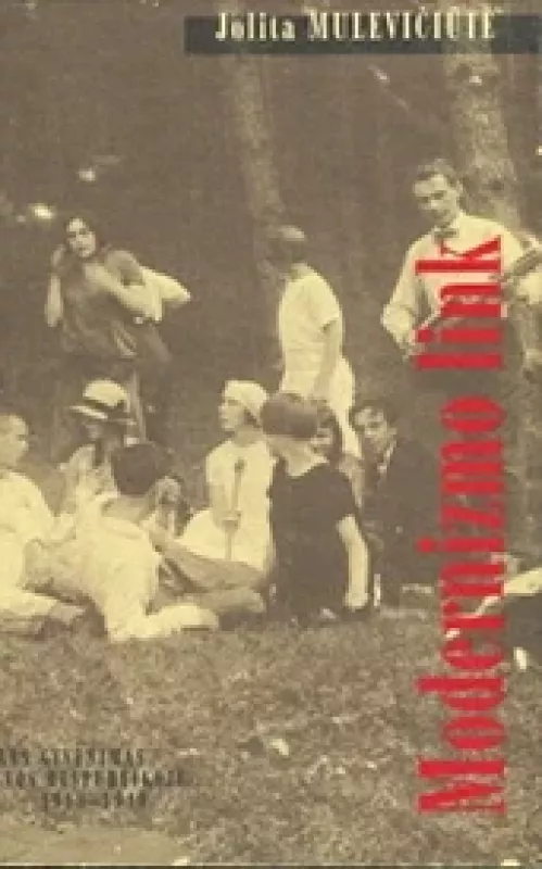 Modernizmo link. Dailės gyvenimas Lietuvos Respublikoje 1918–1940. - Jolita Mulevičiūtė, knyga