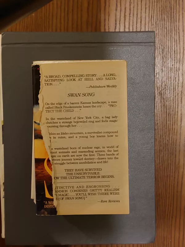 Swan song - Robert McCammon, knyga 5