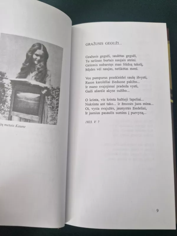 Per amžius degti - Salomėja Nėris, knyga 5