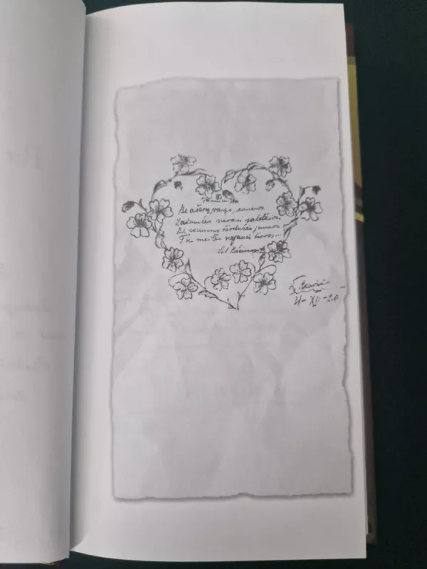 Per amžius degti - Salomėja Nėris, knyga 4